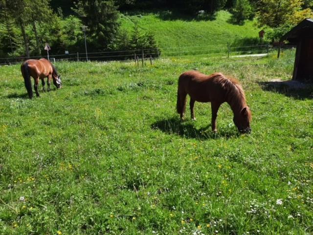 Fagererhof Bad Reichenhall Exterior foto